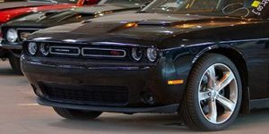 Fahrzeug Verschiffung USA